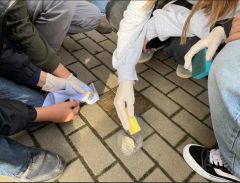 Akce Čistíme Stolpersteine